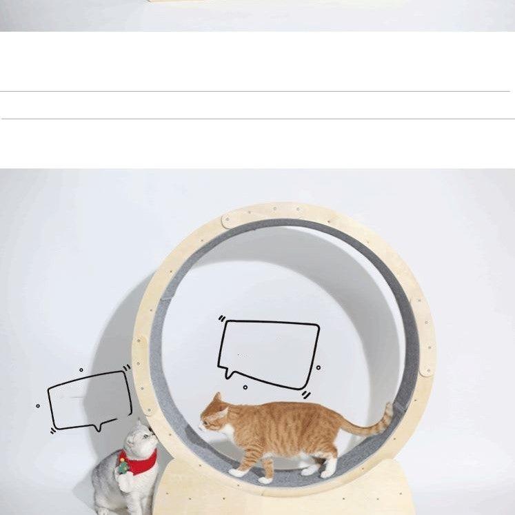 Cat Fitness Fun Roller